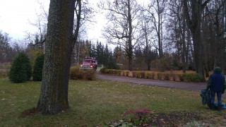 20171031_104947